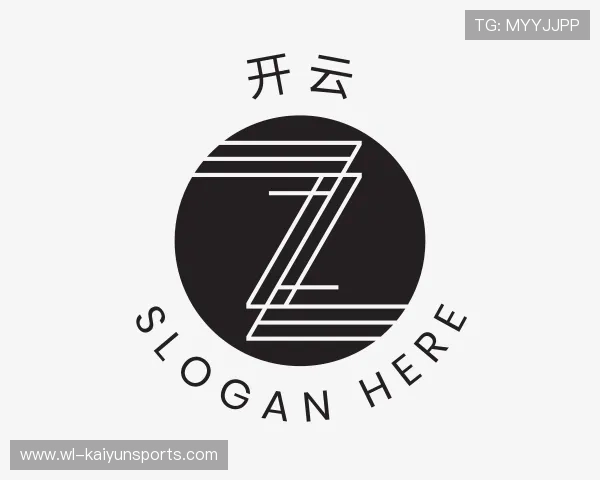 介绍开云电竞入口